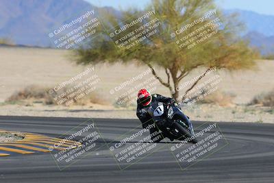 media/Feb-04-2023-SoCal Trackdays (Sat) [[8a776bf2c3]]/Turn 4 (Tree of Life 2pm)/